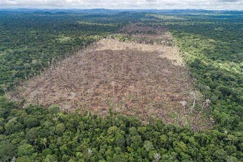Deforestation Drove Massive Amazon Rainforest Fires Of 2019 Purdue University News