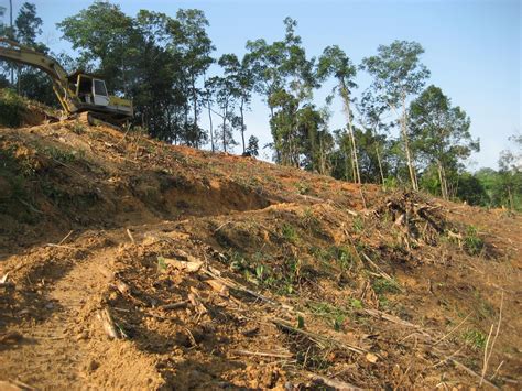 Dengan struktur tersebut, kamu bisa memanfaatkannya untuk mencegah tanah longsor. fazproplist.blogspot.com: TANAH UNTUK TANAMAN GETAH ...