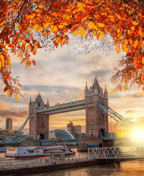 Tower Bridge With Autumn Leaves In London England Uk Stock Photo