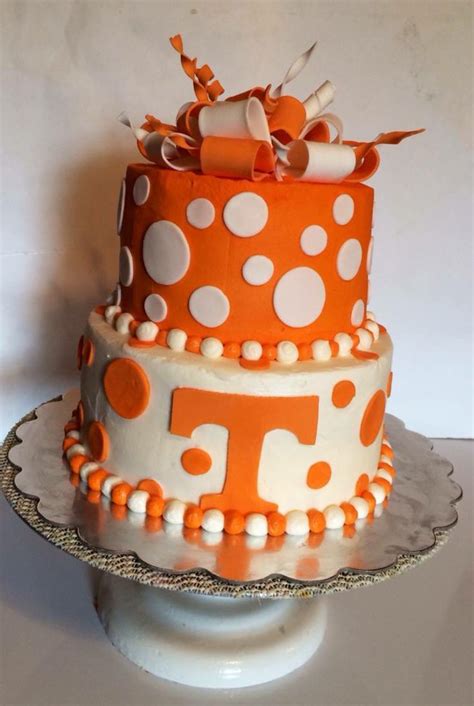 Go Big Orange🍊 Cake Desserts Birthday Cake