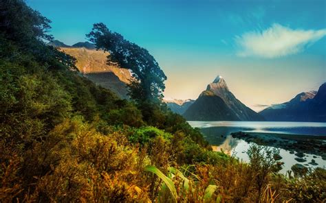 807741 4k New Zealand Mountains Forests Shrubs Fog Rare Gallery