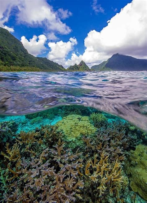 Coral Reef National Park Of American Samoa American Territory Of