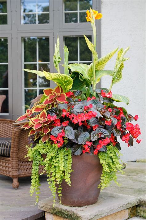 Summer Container Flower Ideas Photos Yahoo Image Search