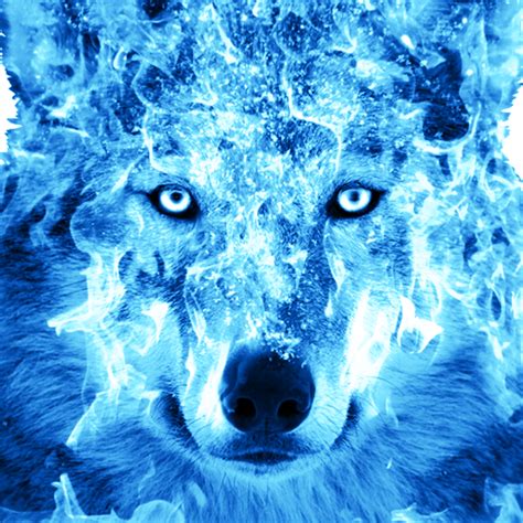 برنامه Ice Fire Wolf Wallpaper دانلود کافه بازار