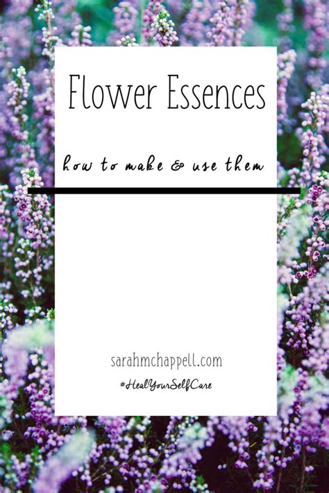 We did not find results for: How To Make Flower Essences | Flower therapy, Flower remedy