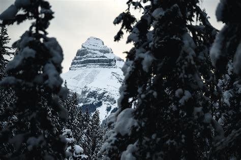 Wallpaper Mountain Peak Snow Trees Landscape Hd Widescreen High