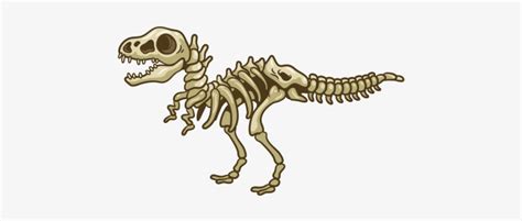 Cartoon Dinosaur Bones Draggolia