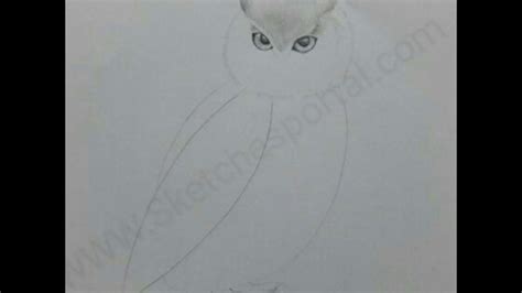 How To Draw A Snowy Owl In 16 Steps Youtube