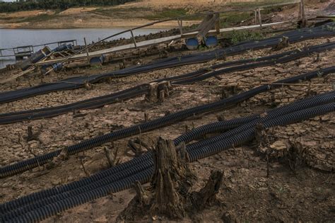São Paulo Water Crisis Linked To Growth Pollution And Deforestation