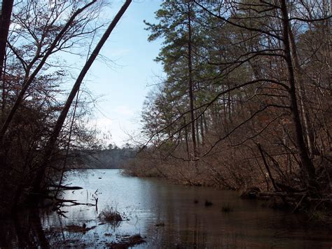 Total area 640 m²land area: 8 +/- Acres on Yates Lake - Southeastern Land Group