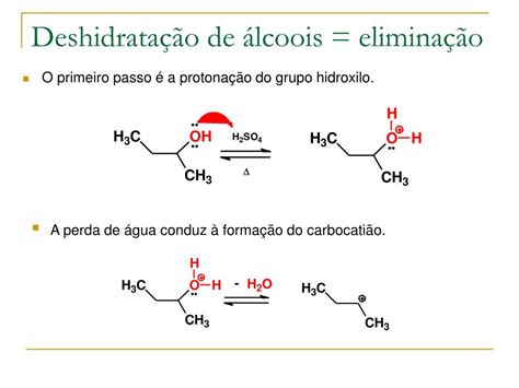 Processo De Eliminação Do álcool Demora De