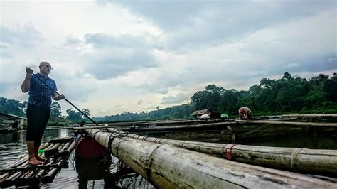 Zat ini nantinya digunakan kembali oleh produsen (zooplankton) untuk mengolah makanan. Potensi Besar Budidaya Ikan Air Tawar Bengkulu Selatan ...