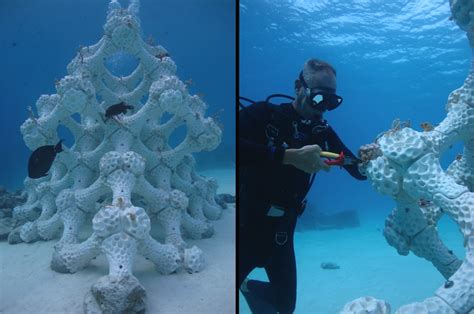 A New Approach To Marine Restoration 3 D Printing Coral Reefs With