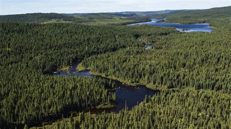 Canadian Boreal Forest Agreement 11 Years Later Cpaws Saskatchewan