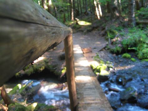 Olympic Peninsula Hikes Guides And Updates Buckhorn Wilderness