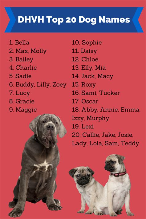 They are going to live with it for it's whole life, and the nickname will last forever in the memory of the owner. Naming Your Dog | Den Herder Vet