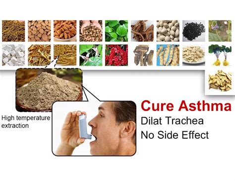 Tcm Powder To Cure Asthma No Need For Inhalers Stop Asthma Safely