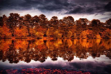 767386 Forests Rivers Autumn Hdr Rare Gallery Hd Wallpapers