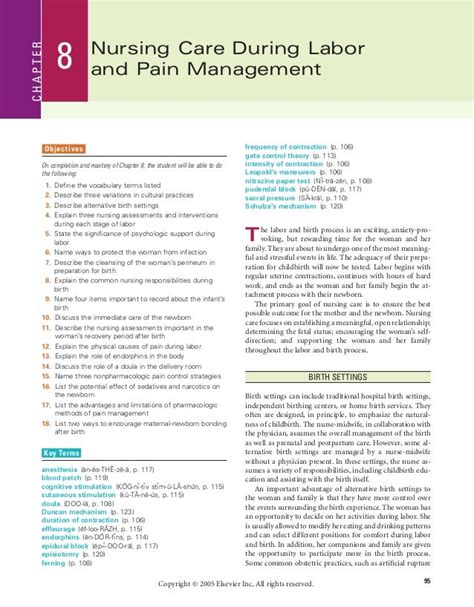 Chapter 8 Nursing Care During Labor And Pain Management