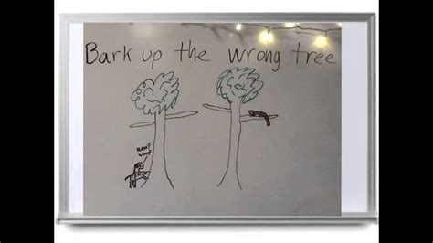 Bark Up The Wrong Tree Idiom Youtube