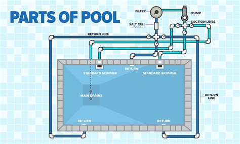 Parts Of A Pool A Guide To A Pools Anatomy Basics
