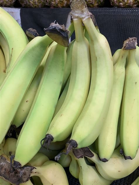 They may also be used to flavour muffins, cakes, or breads. Cavendish Bananas
