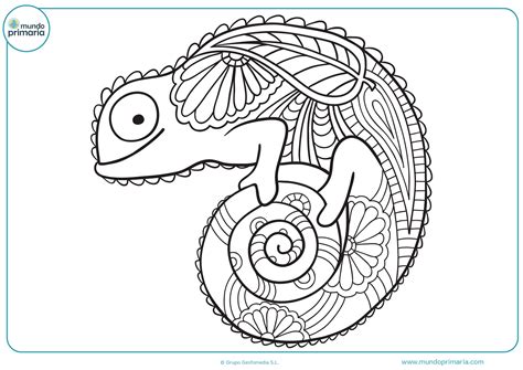 Dibujos Para Colorear E Imprimir Ni?Os 6 A?Os - Mandalas Para Ninos De