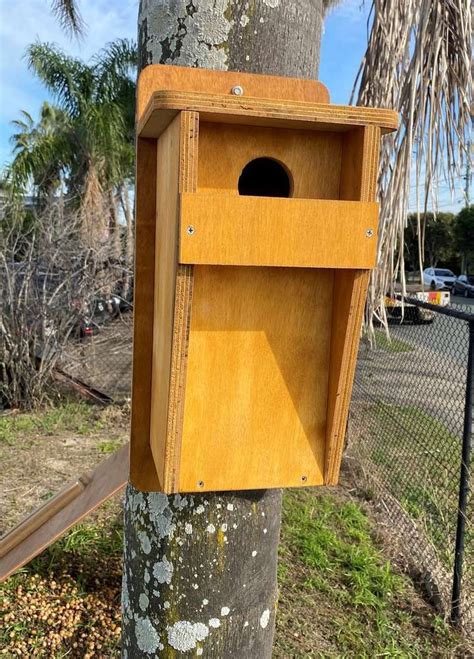 Small Parrot Rosellaslorikeet Nest Boxes Australia In 2021 Box
