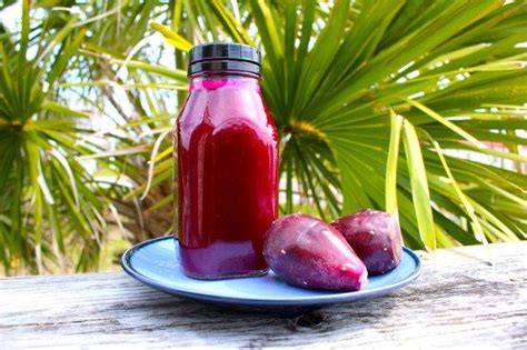 A film by tom heyden for people fixing the world. Homemade Prickly Pear Cactus Juice | Prickly pear recipes ...