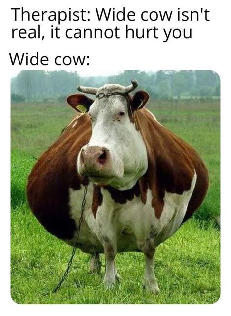 Cows Arent Real Dank Memes Amino