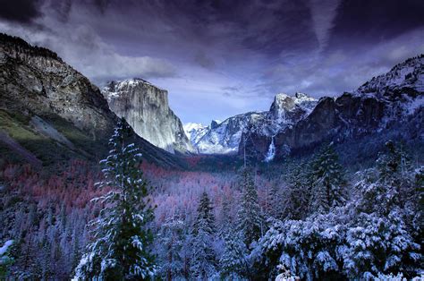2560x1700 Snow Forests Yosemite Scenery 4k Chromebook Pixel Hd 4k