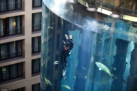 Il cilidro-acquario di Berlino | inviaggiocondimaggio