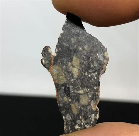 Luna Meteorite Nwa 11474 Breld Feldspathic Breccia Fetta 14 G Catawiki