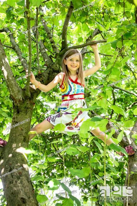 Little Girl Climbing On A Tree In The Garden Stock Photo Picture And