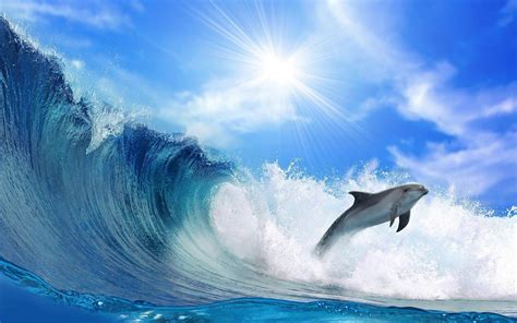 🔥 Download Beautiful Wallpaper Of A Dolphin And Big Wave Hd Animals By