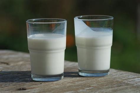 Comment remplacer la levure chimique 7 substituts pratiques