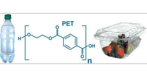 Pet Polymer Recycling Biochemistry