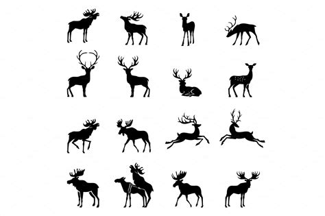 Deer Collection Vector Silhouette Animal Illustrations ~ Creative