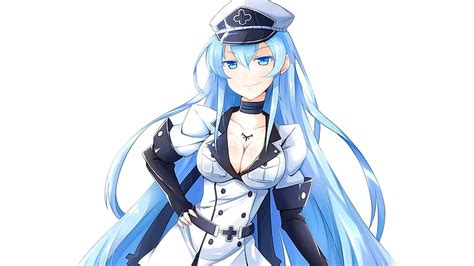 2160x1440px Free Download Hd Wallpaper Blue Haired Woman Nurse Anime Illustration Akame Ga