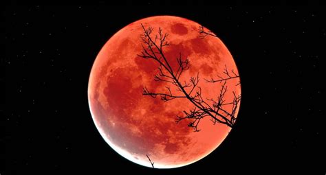 Eclissi Totale Di Luna Domani Tutti Con Gli Occhi Al Cielo Durerà