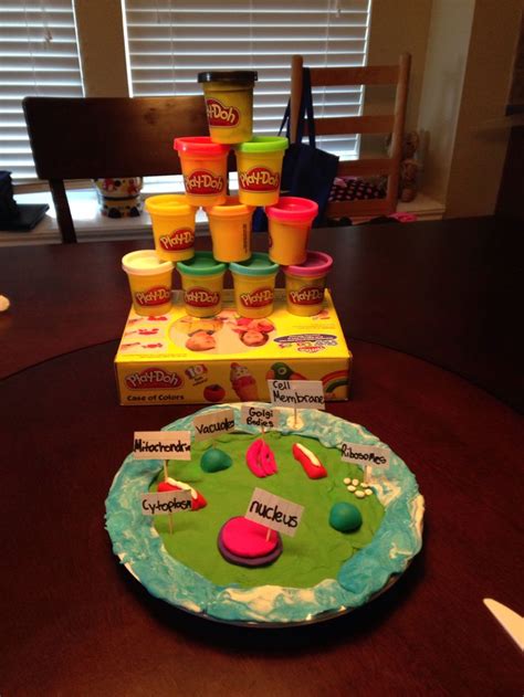 Maybe you would like to learn more about one of these? I made this 3D cell of a animal Cell using these play-doh ...