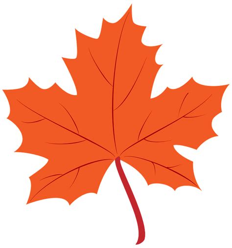 Maple Leaf Clipart Free Download Transparent Png Creazilla