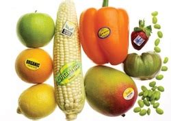 The production imposes high risks to the disruption of ecosystem and biodiversity because the better traits produced from engineering genes. Advantages and Disadvantages - Environmental Biotechnology