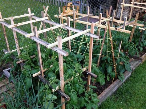 Triple Tomato Trellises Made From Scrap Lumber And Some Nuts And Bolts