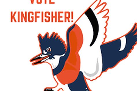 ‘belted Kingfisher Mascot Passes Student Body Referendum The