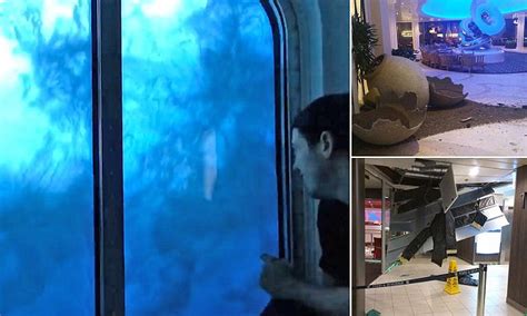 Footage inside Royal Caribbean cruise ship during storm | Daily Mail Online