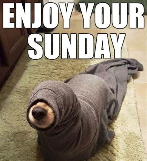 Happy Sunday Meme With Funny Images And Wishes