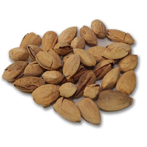 In Shell Salted Almonds Of Premium Quality The Nut House Usa