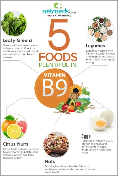 Foods Incredibly Rich In Vitamin B For Overall Health Infographic
