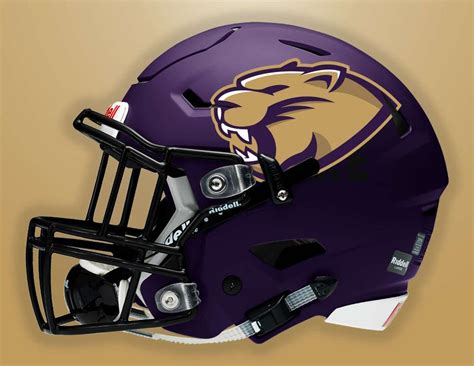 Uni Panthers Redesign Concept Concepts Chris Creamers Sports Logos